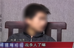 湖南12岁男童杀死3位至亲，死亡照片惨不忍睹，网络游戏给我们带来了什么？